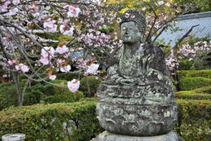 Cherry Blossom Season in Japan