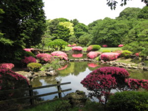 Impression_of_Shinjuku_Gyoen