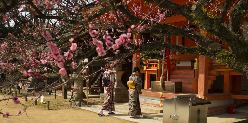 Women wearing Kimono in Kitano Tenmangu Shrine - Kyoto