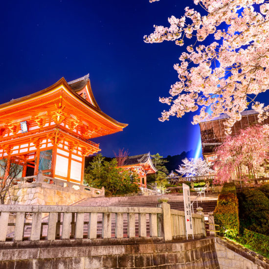 Tours Kyoto Spring 550x550 - Tours