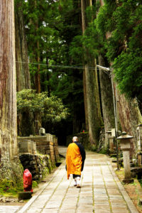 A Shingon Priest walking down a path in Mount Koya