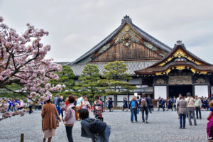Tourists admiring the Nijo Castle in Kyoto