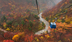 Japan in Autumn in a Cable car