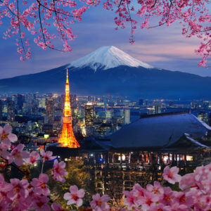 Cityscape of Tokyo with Mt Fuji and Tokyo Tower