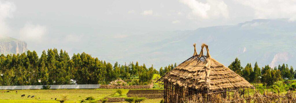 A thatched farmhouse beside green fields and forest under a wide sky