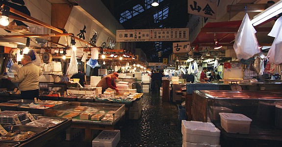 tsukiji fish market