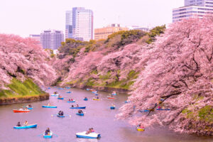 Chidorigafuchi Kitanomaru Park in tokyo