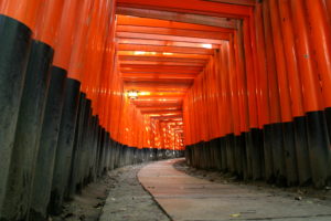 A path to the top of Fushimi Inara - Kyoto