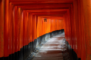 A path to Fushimi Inari Shrine in Osaka