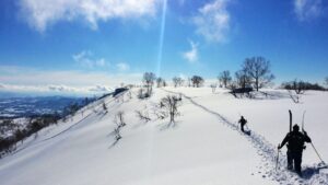 Go Skiing in Japan