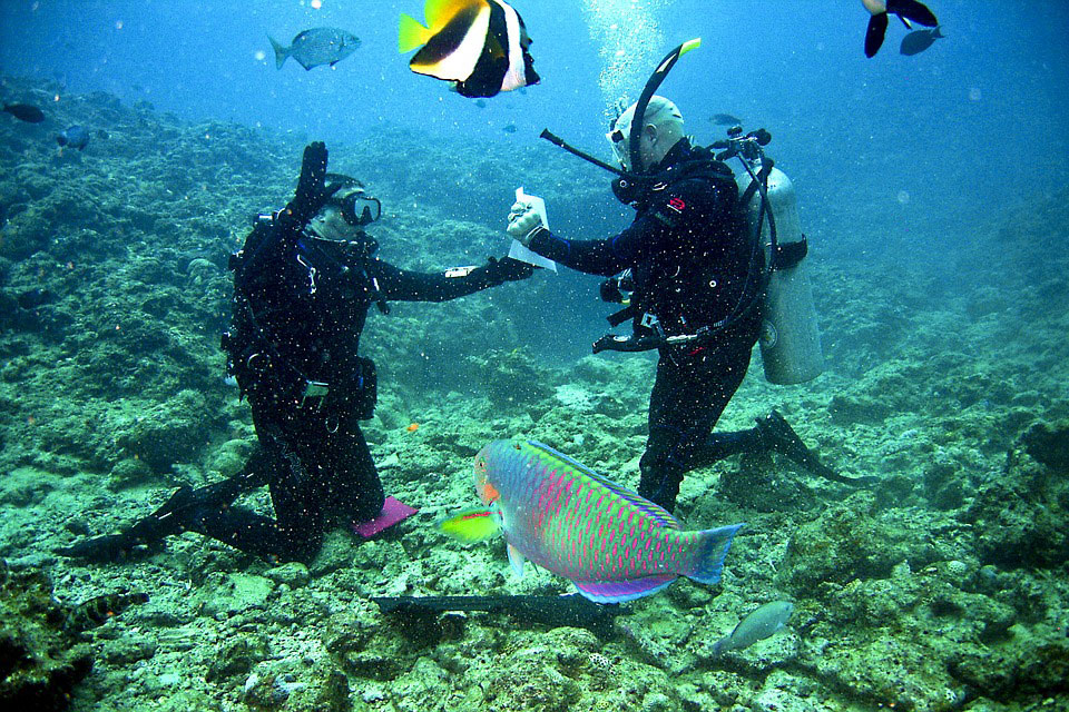 Scuba Diving in Japan