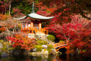 Photography Tour ideas in Japan