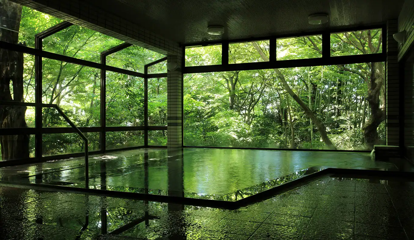 An indoor hot-spring bath with wide windows onto a green forest