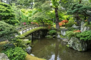 Japan's Breathtaking Travel Landscape Photography