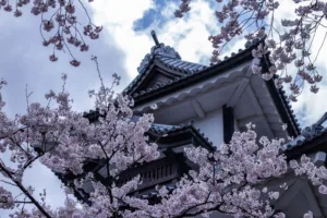Discover the Charm of "Little Kyoto": Kanazawa