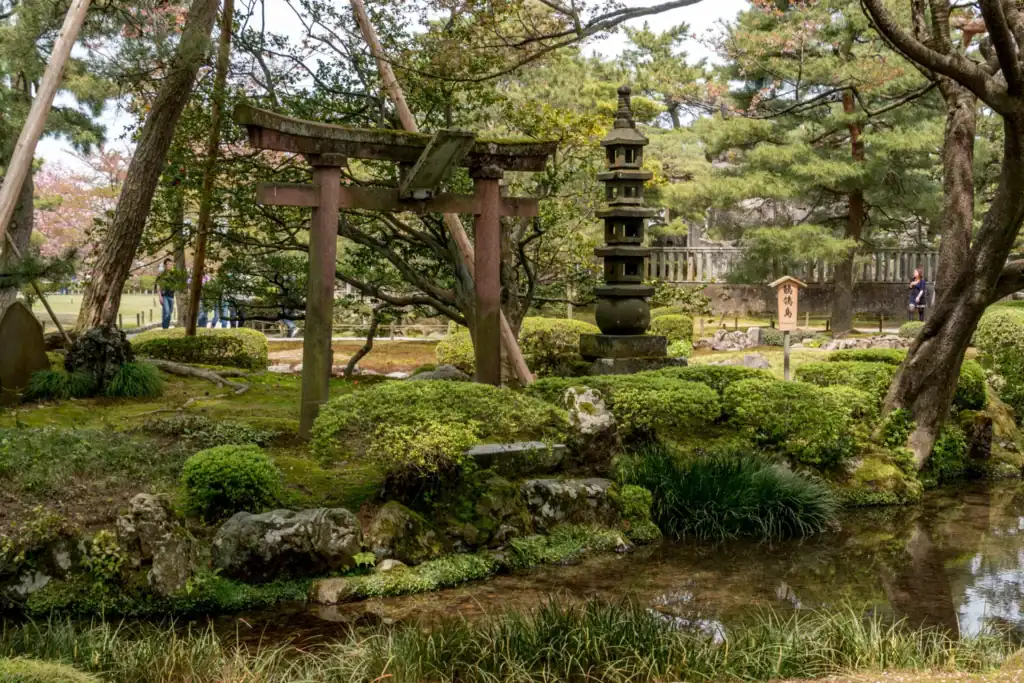 A moss garden with stone lanterns and old pine trees in Kanazawa