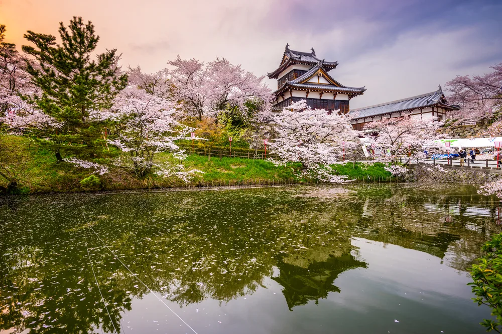 Nara - Honeymoon Destinations in Japan