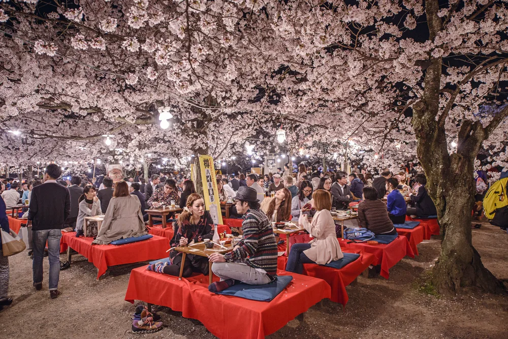 Cherry Blossom Festival