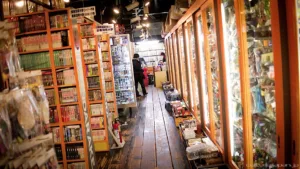The Ultimate Guide to Anime and Manga Shopping in Japan