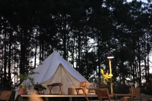 10 Dreamy Honeymoon Experiences in Japan - glamping