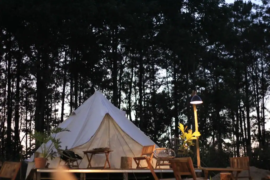 A white canvas tent on a wooden deck among tall pine trees at dusk