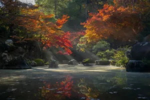 Immerse Yourself in Japan's Zen Retreat