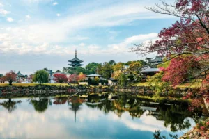 Nara in 24 Hours: The Ultimate One-Day Itinerary