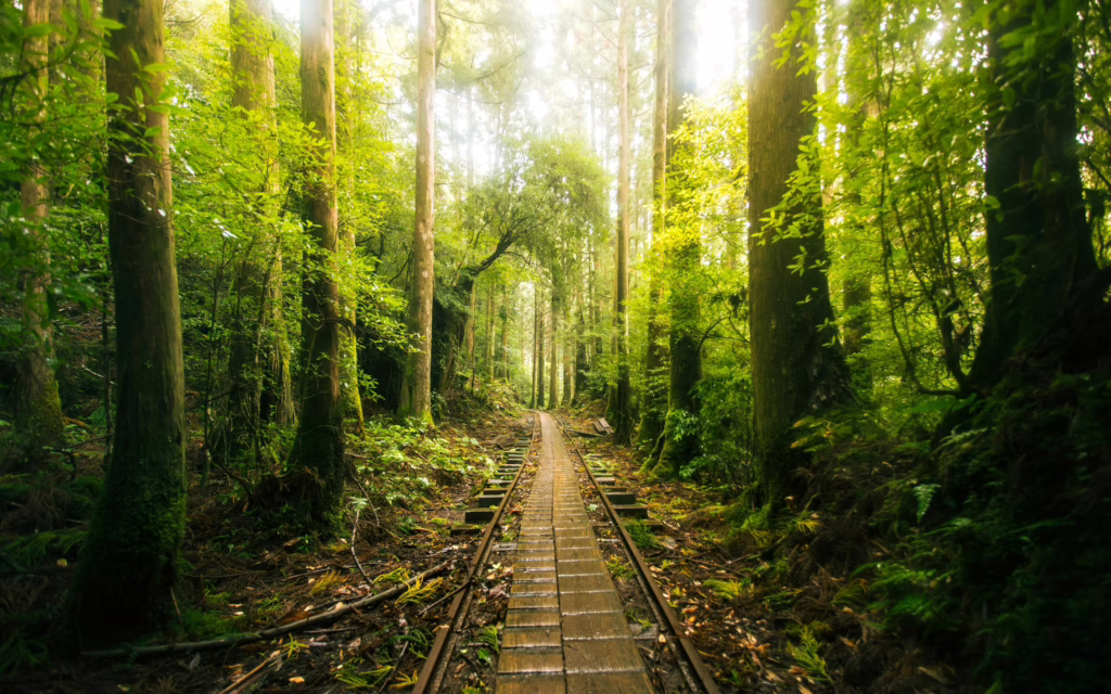 Healing-retreat-Japan-2
