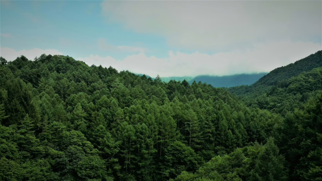 Healing-retreat-Japan-3