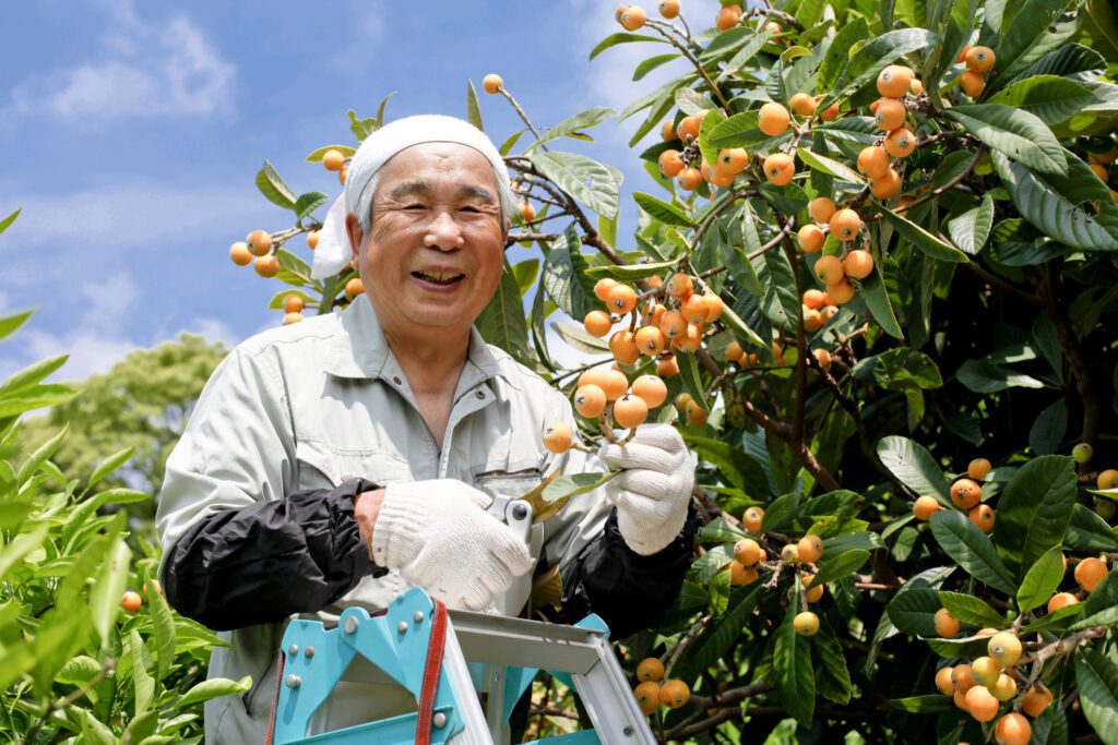 Is Immigration The Answer - Rural Japan Renaissance