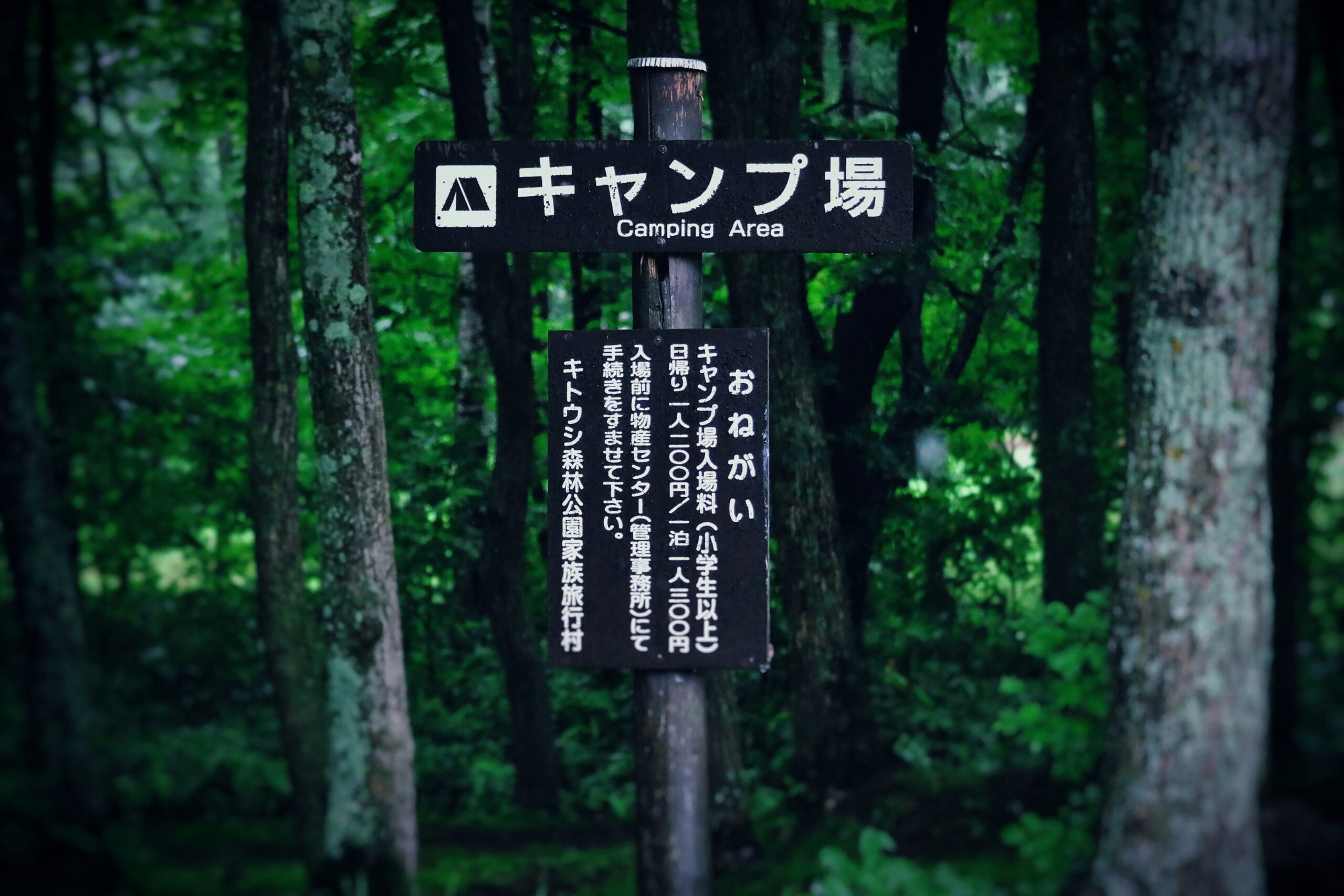 Camping Area Sign Japan