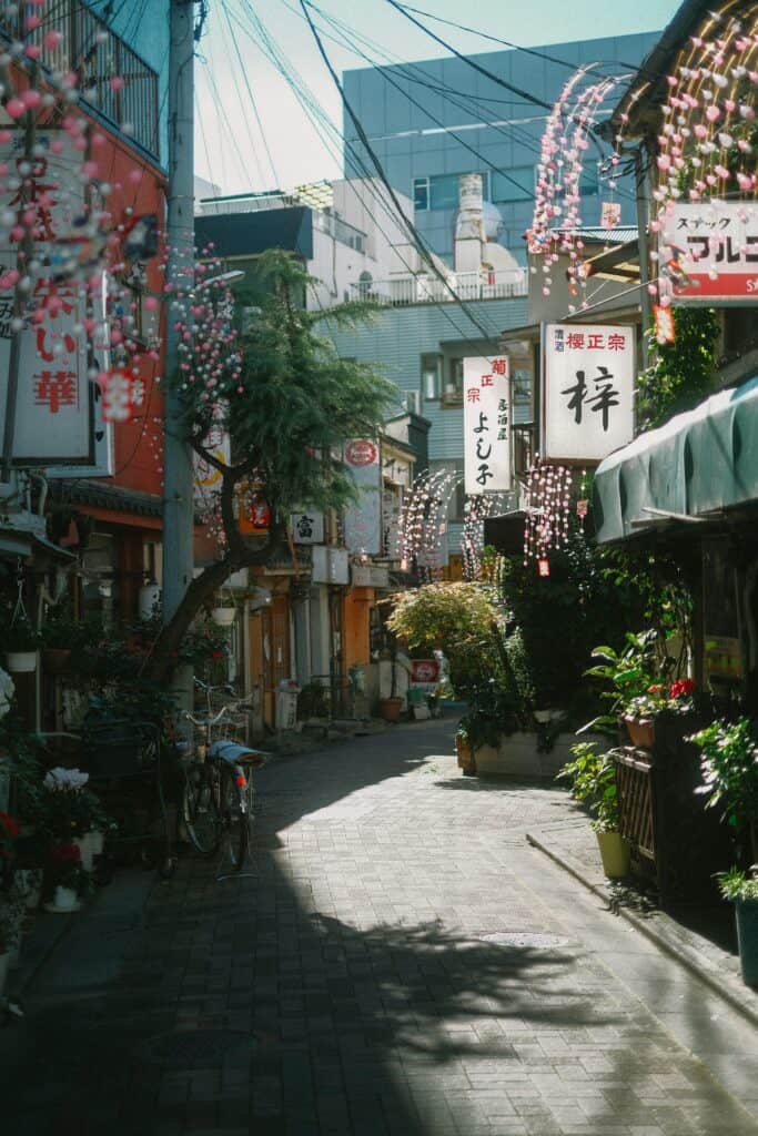 A sunny shopping street in Okinawa lined with small shops, signs and potted plants