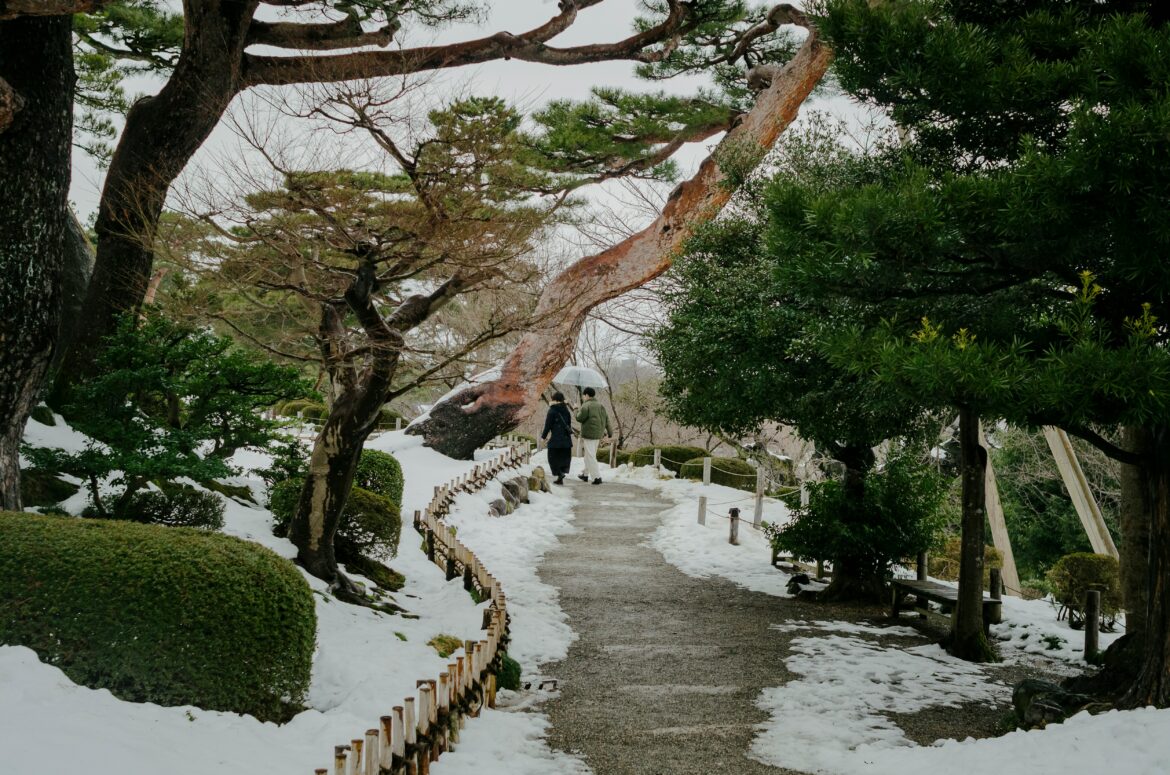 15 Essential Experiences in Little Kyoto