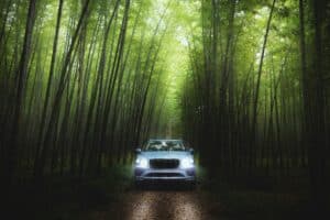 Elegant luxury vehicle surrounded by lush green bamboo trees in a peaceful forest setting.