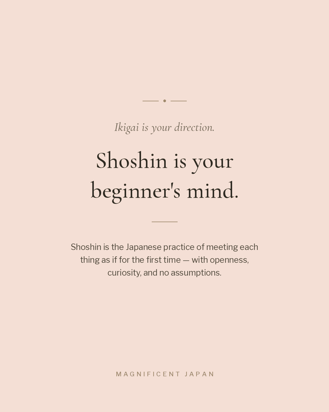 Ikigai is your direction. Shoshin is your beginner's mind.