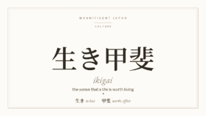 What is Ikigai