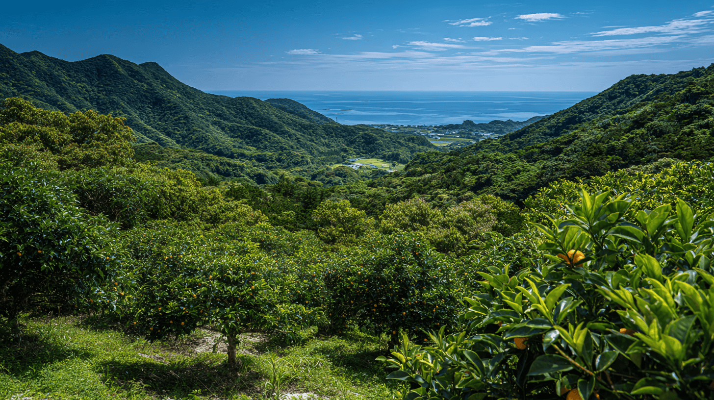 Green Yanbaru hills and citrus trees above Ogimi, the landscape of the ikigai Okinawa story