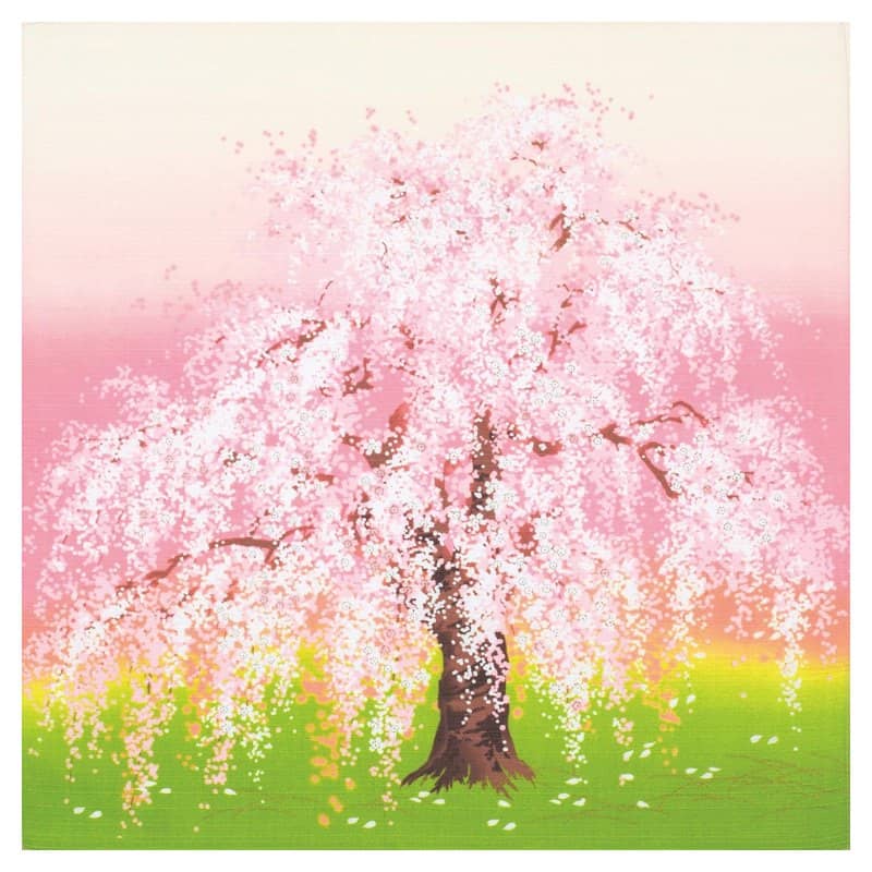 A cotton furoshiki wrapping cloth printed with a large cherry tree in bloom