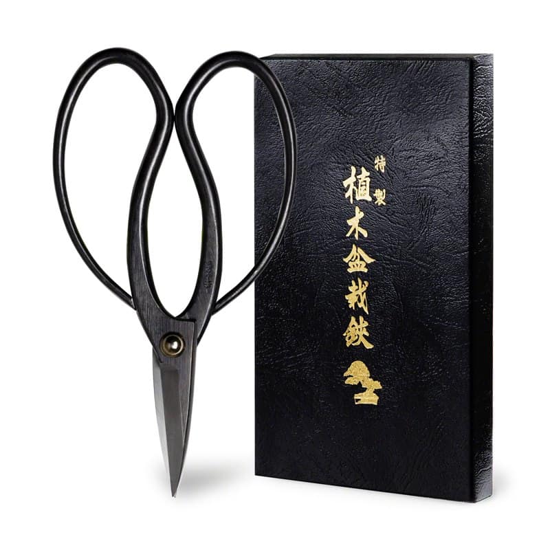 A pair of black Wazakura bonsai scissors with large looped handles beside a box